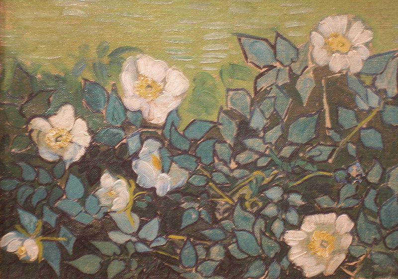 Wild Roses, Vincent Van Gogh